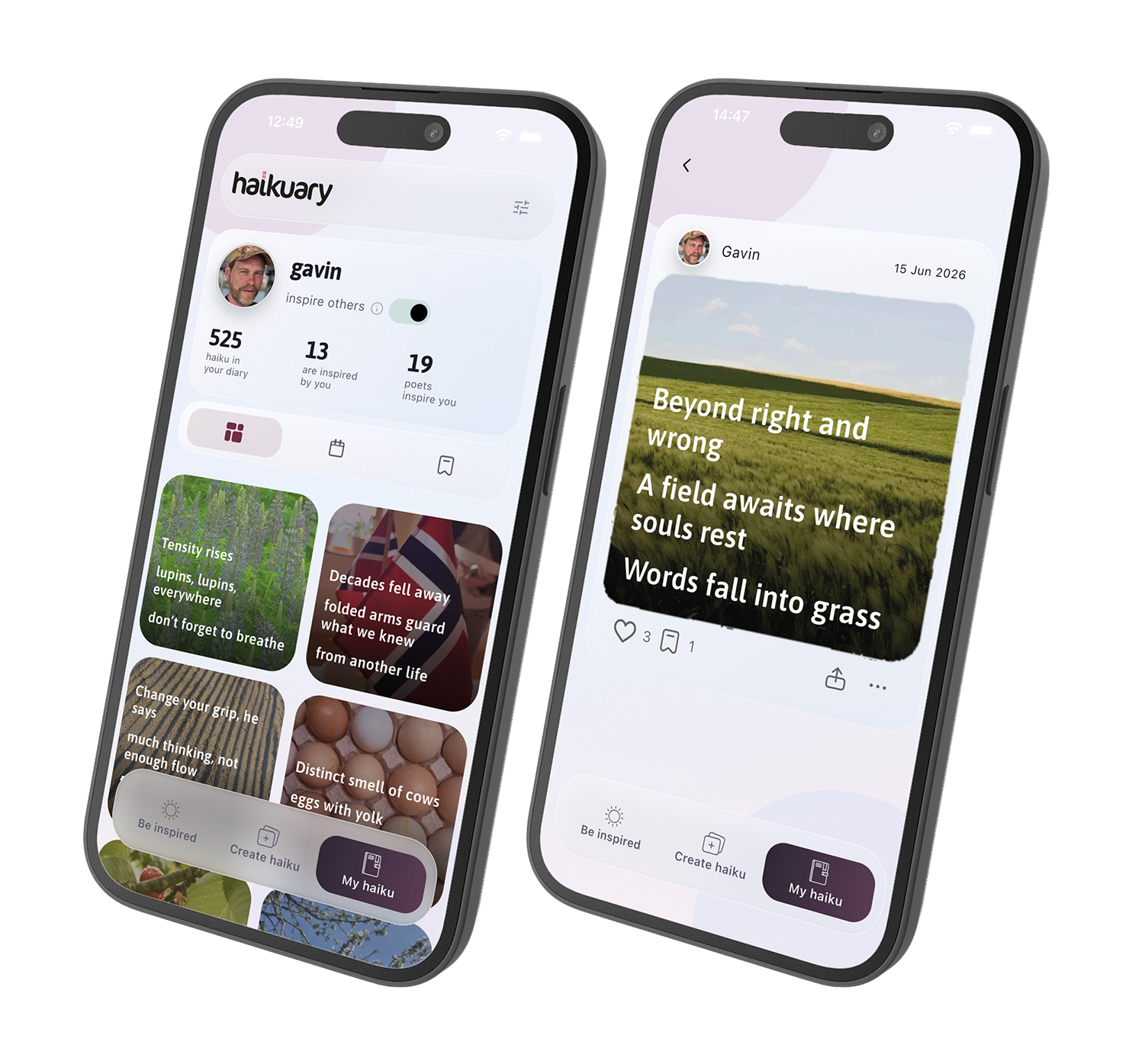 haikuary app on iPhone and iPad